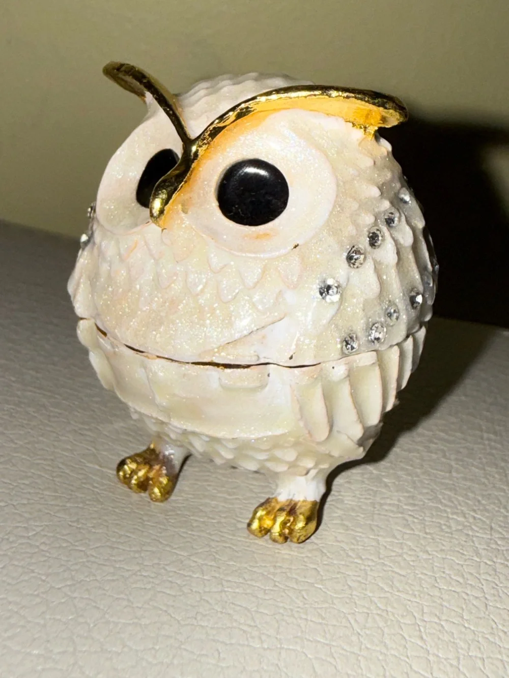 N/A charming owl